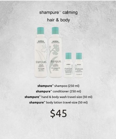 shampureholiday